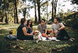 Friends having a fun picnic in the park with a Shih Tzu, enjoying a sunny day outdoors.